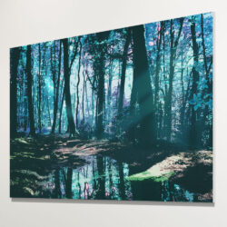 Silva_001-landscape
