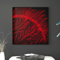 Insecte_012