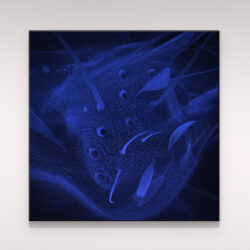 Insecte_014