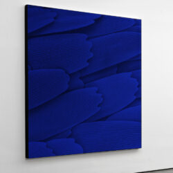 Papillon_028