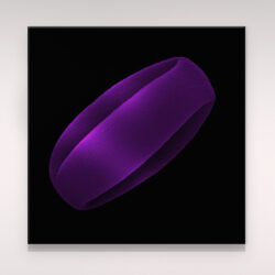 Pollen d'aubergine_002