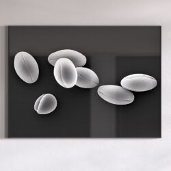 Pollens d'hellebore_001
