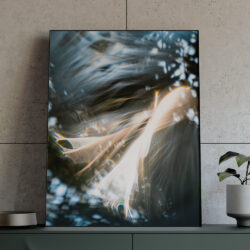 Interference_2021-3