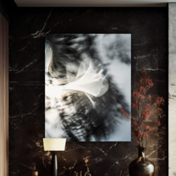 Interference_2023-5