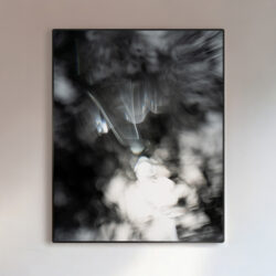Interference_2023-4