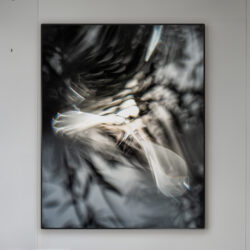 Interference_2023-7
